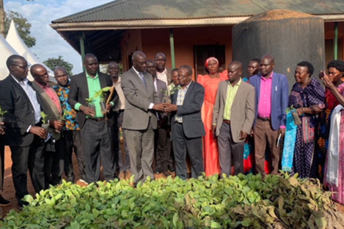 Promotion of coffee Farming